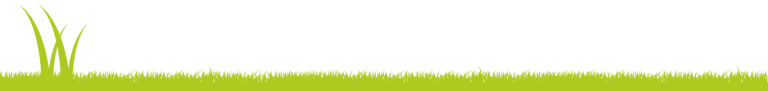 Artificial grass
