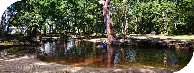 Camping in the New Forest England