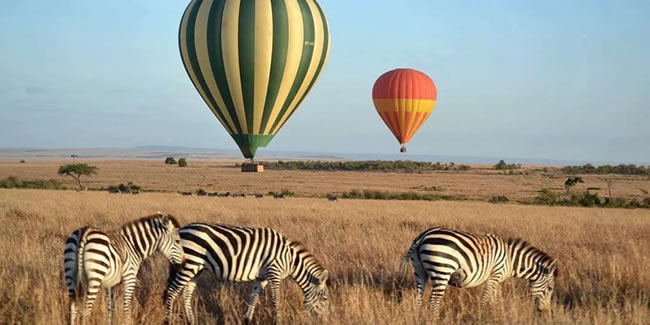 Balloon safaris