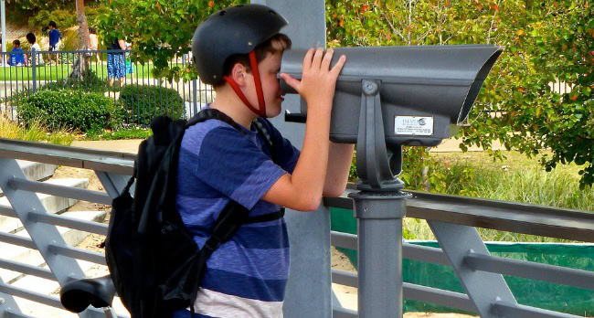 Que faire ce week end : agenda et idées de sorties