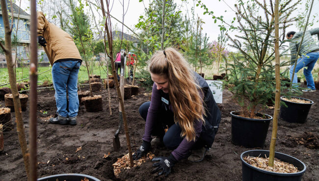Where is the FIFA Tree Planting In Toronto Ahead of the FIFA World Cup 2026™