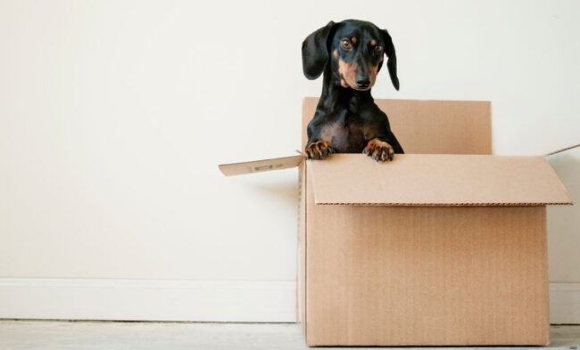 Best way to pack books for moving