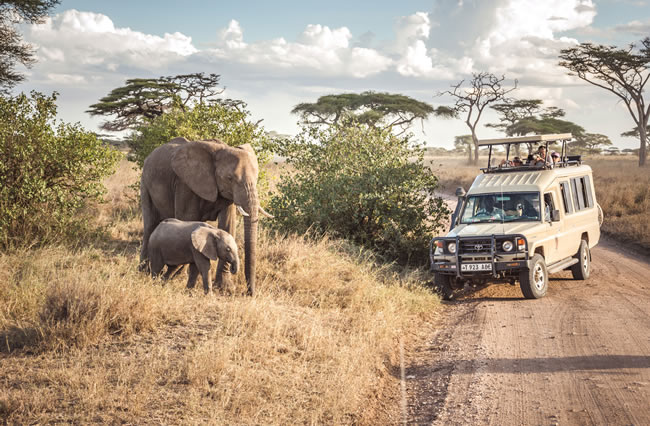Game drives in Serengeti National Park