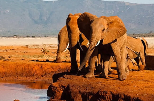 Tsavo West National Park