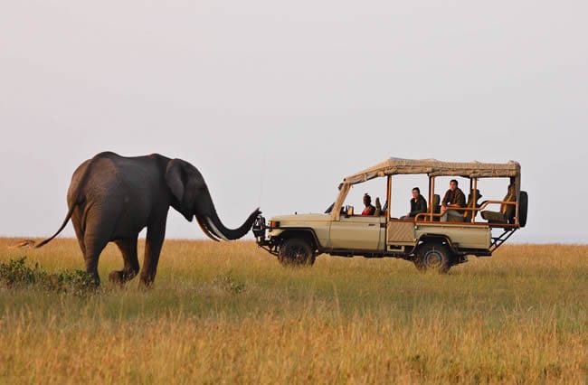 Leisurely Game Drives and Boat cruises