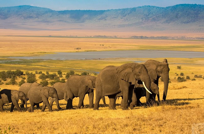 Ngorongoro Conservation Area