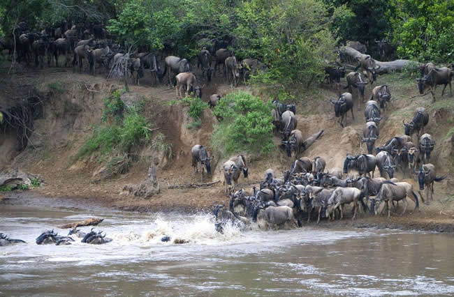 North Serengeti (Kogatende Region)