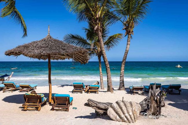 Kenya beach tours