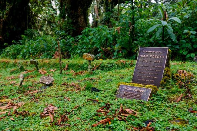 Dian Fossey grave hike