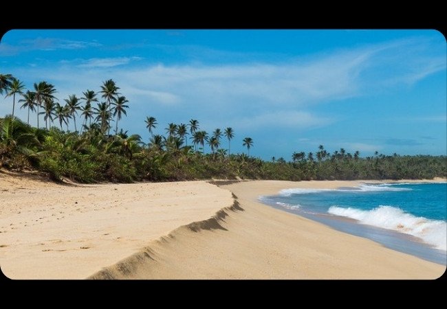 Playa caribeña de aguas turquesa, arena blanca y palmeras