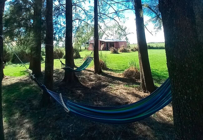 Finca La Paquita