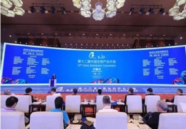 LED Screen Conference