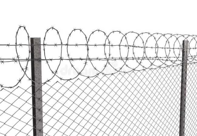 Barbed Wire Fence (2)