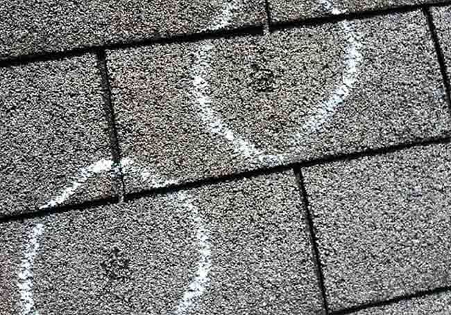 hail-damage-landscape hail-damage-landscape