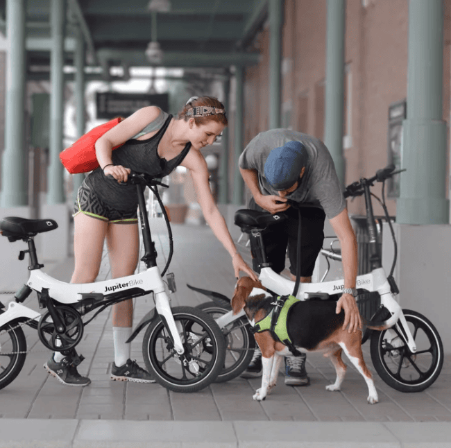 Two riders with folding Jupiter electric bikes greet a dog outdoors, showcasing the lifestyle and portability of Costco e-bikes.