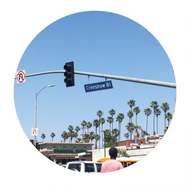 PALMS005 - anthony fade