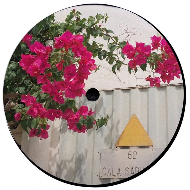 ciggy de la noche - distant hawaii