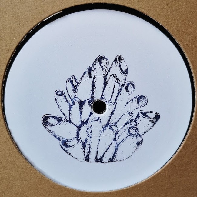 blaq number - whytenumbers 006