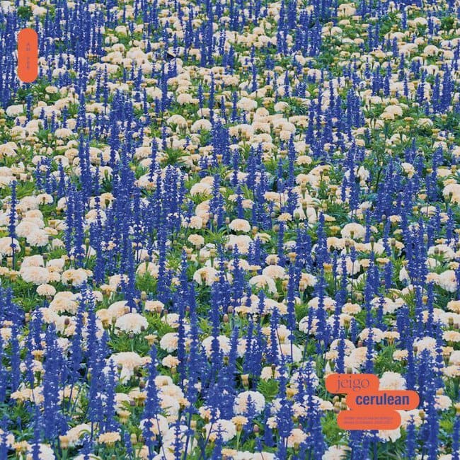 Jeigo_Cerulean_AM006_Front