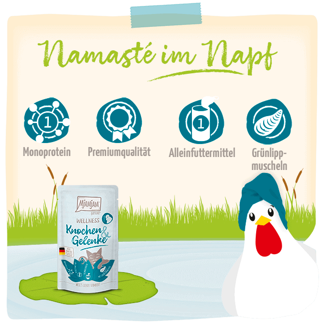 Wellness Pollo Huesos y articulaciones MjAMjAM para gato, detalle
