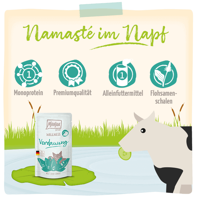 Wellness Ternera Digestión MjAMjAM para gato, detalle