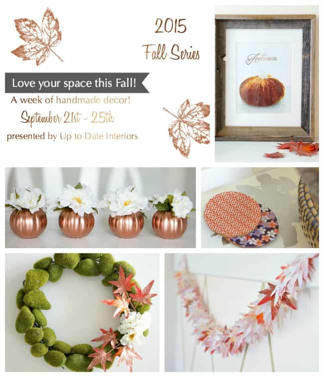 fall-series-collage