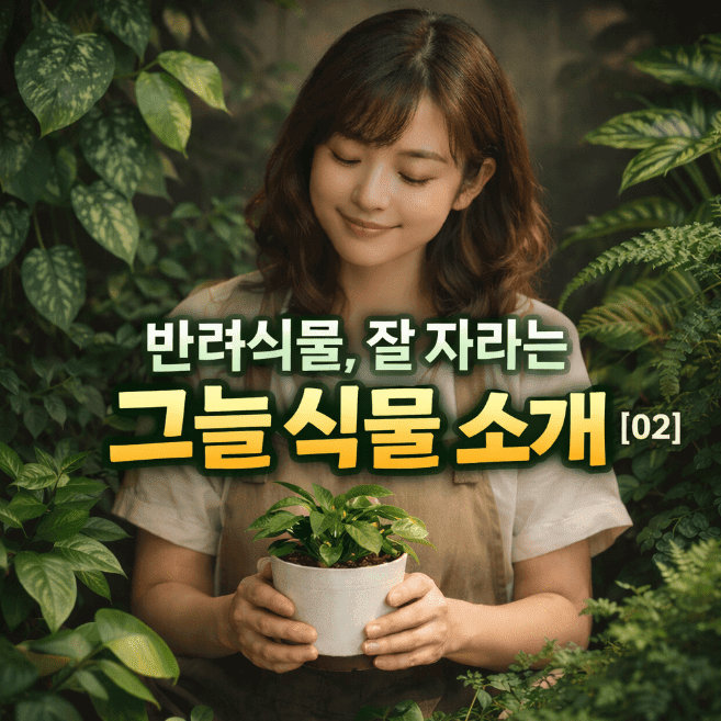 반려식물, 햇빛 없어도 잘 자라는 그늘 식물 소개