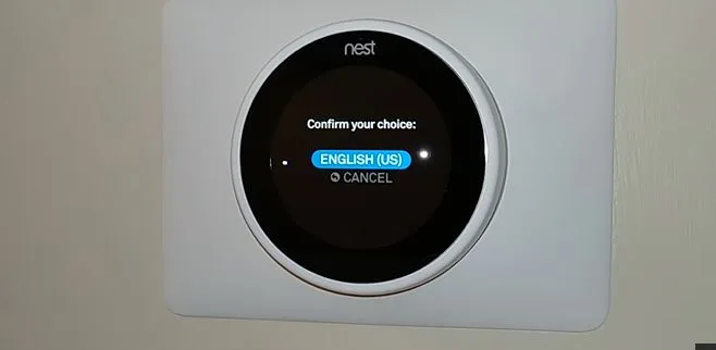 nest fully installed jpg