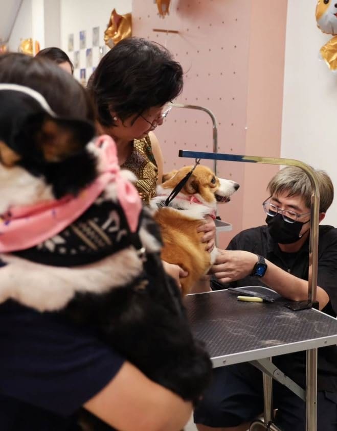 Pawsh Club