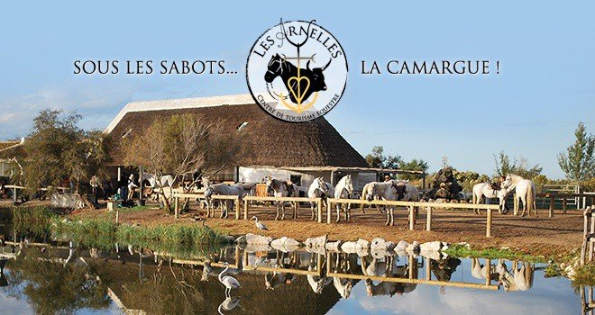 Centre Equestre Les Arnelles Camarge France Horse riding
