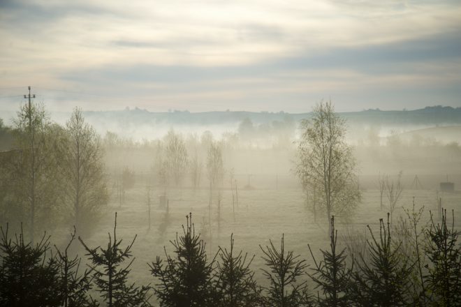 Mazurska Arkadia okolica