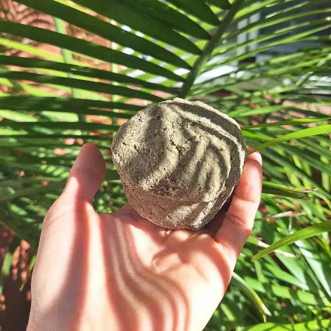 Rassoul & Rosemary Shampoo