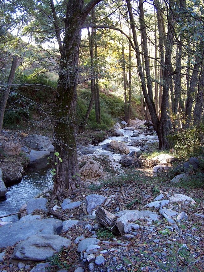 Río Andarax