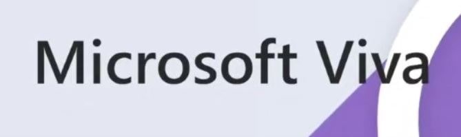 microsoft_viva - Zircoo Corporation