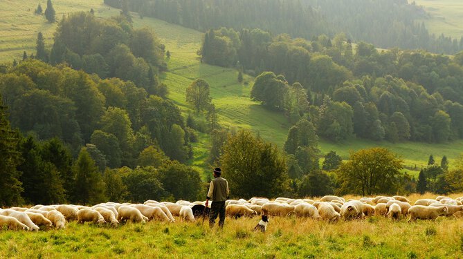 Télévision. Comment revoir le magnifique des Racines et des Ailes Béarn Bigorre