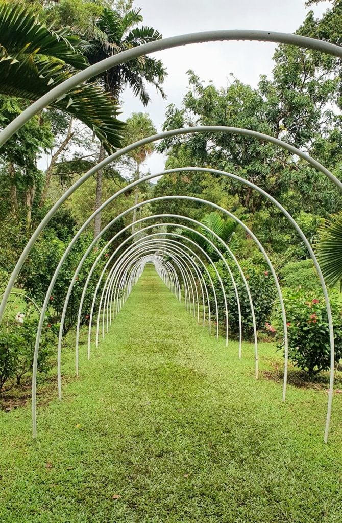 Torbogen Botanical Gardens