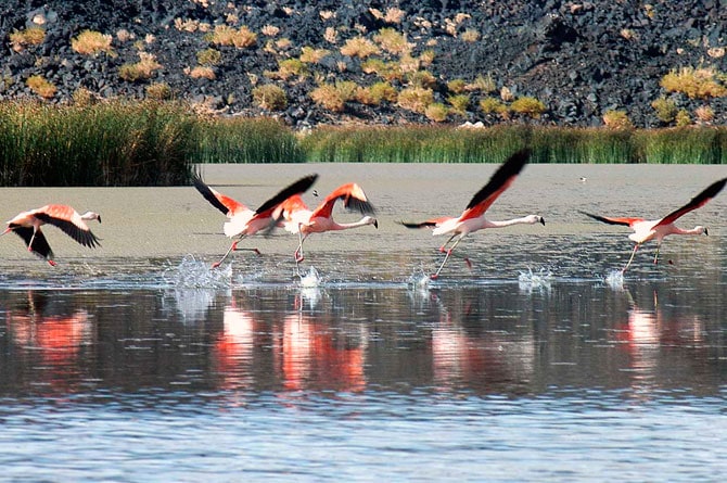 Reserva Laguna Blanca