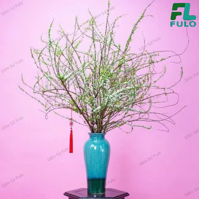 Bình Cắm Hoa Tuyết Mai Đẹp
