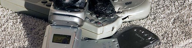 Wie der Hund auf´s  Handy kam…