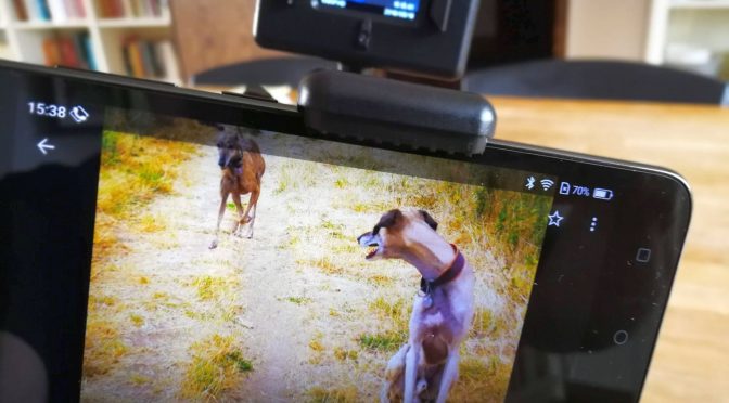Als Monitor im Rigg mit einer Action-Cam