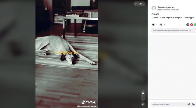 Was zur Hölle … TikTok jetzt auch für Senioren?