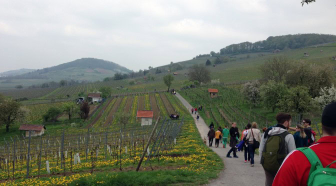vielbunt auf der Weinlagenwanderung 2015