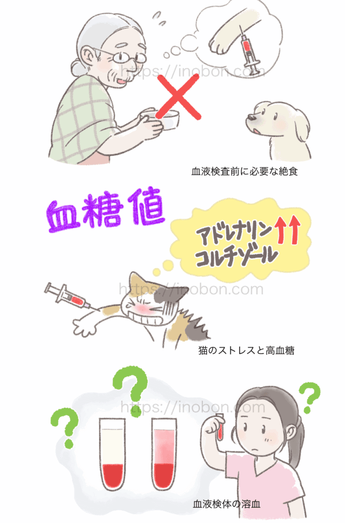 動物病院での血液検査と注意点