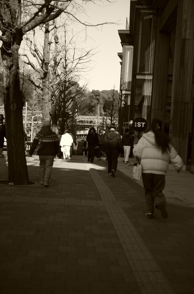 Leica Summarit-M 50mm f2.5 レビュー作例 ライカMマウントおすすめオールドレンズ