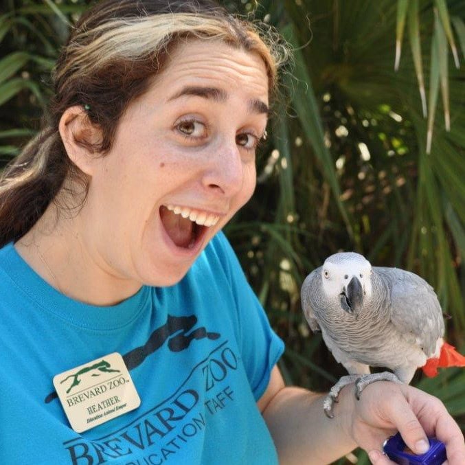 Parrot training