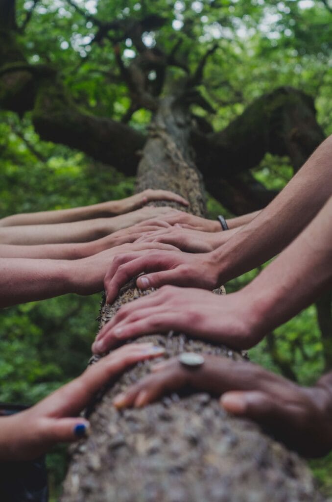 Plusieurs mains unies sur tronc d'arbre, illustrant l'union et le soutien en thérapie relationnelle