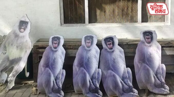 'Special Force' to be deployed to protect the President from monkeys