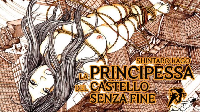 la principessa del castello senza fine hollow press
