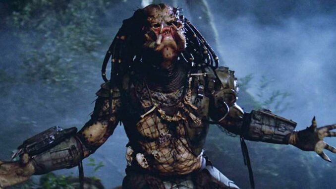 predator film immagine