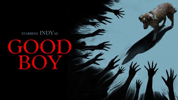 good boy horror recensione